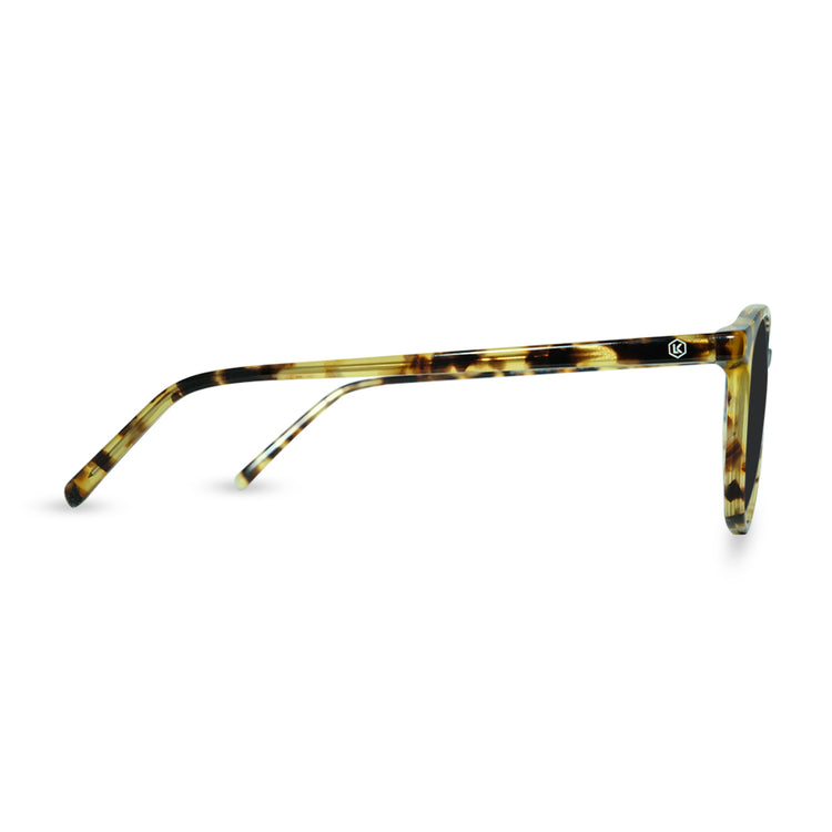Eco Friendly Glasses in Tortoise / Sun